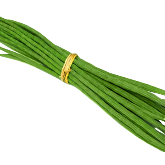 Fresh Green Drumstick Vegetable for export, Edible Fresh Drumstick Vegetable wholesale supply UK