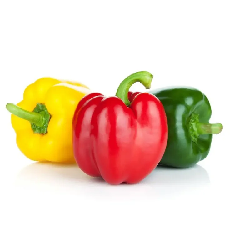 New crop fresh capsicum Chinese colored capsicum fresh green red yellow bell pepper