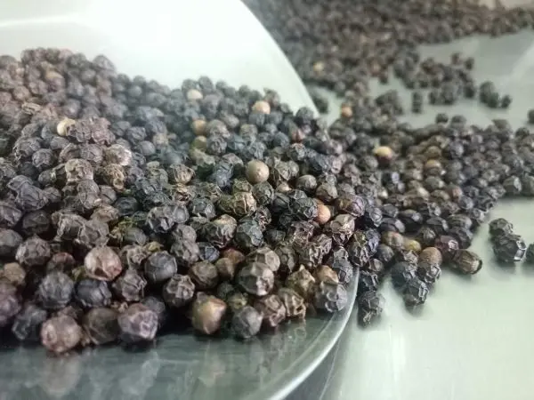 White pepper 500gl/ Black Pepper 550gl Fresh and Dry made from Viet Nam