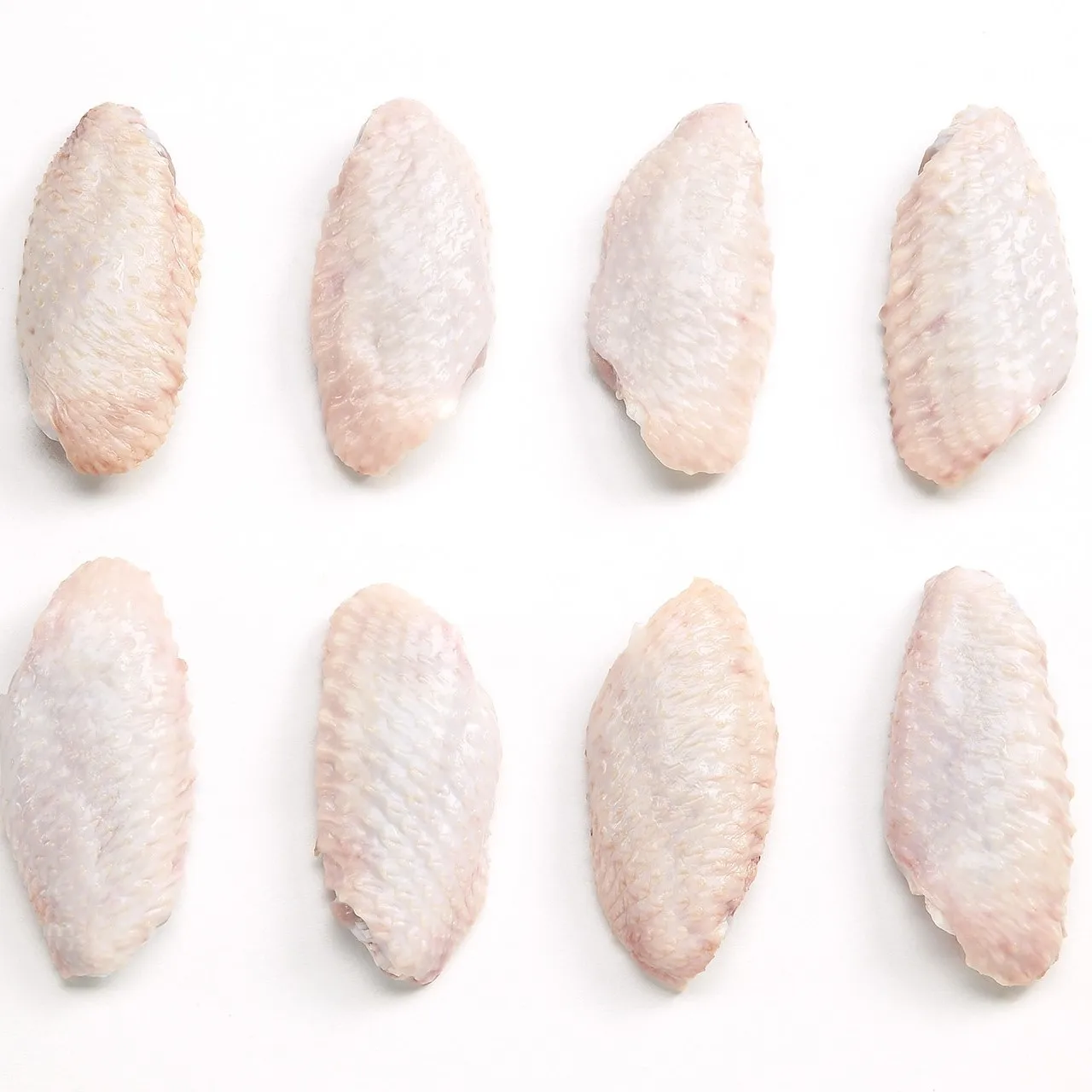 Halal Wholesale Frozen Chicken Wings For Sale at Best Price