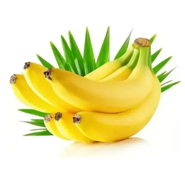 Свежие бананы зеленый банан Cavendish поставщиков