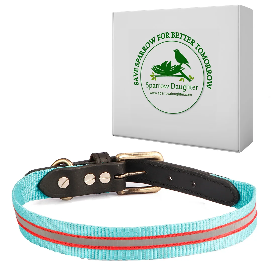 CUSTOM PADDED REFLECTIVE NYLON DOG COLLAR COMBAT NIGHT GLOW CUSTOMIZED METAL BUCKLE  CUSTOM LOGO TACTICAL DOG COLLAR