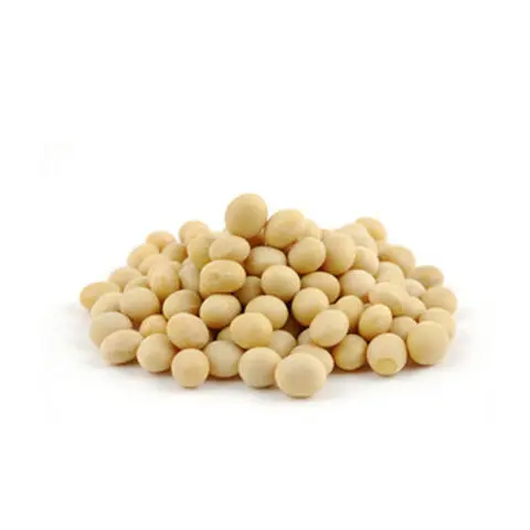 Non Gmo Soybeans / Soya Beans Soy bean Seeds and Soya bean Seeds