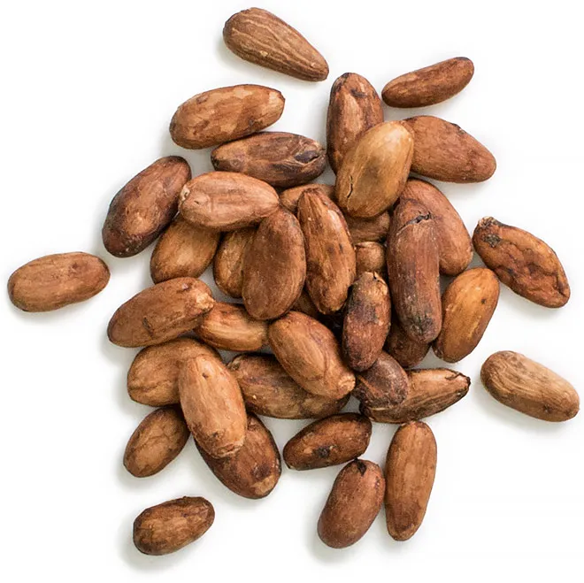 Top Quality Manufacturer Wholesale Bulk Cocoa Beans / Raw Coco Beans (11000003314707)
