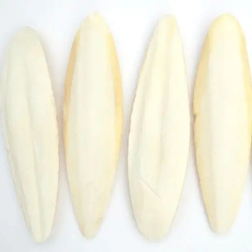 Wholesale Small Cuttlebone Animal Feed Natural White Dried Cuttlefish Bone From France