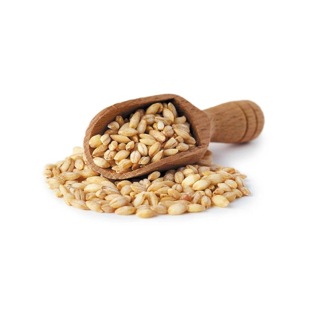 Ячменные зерна семена ячменя корма для животных