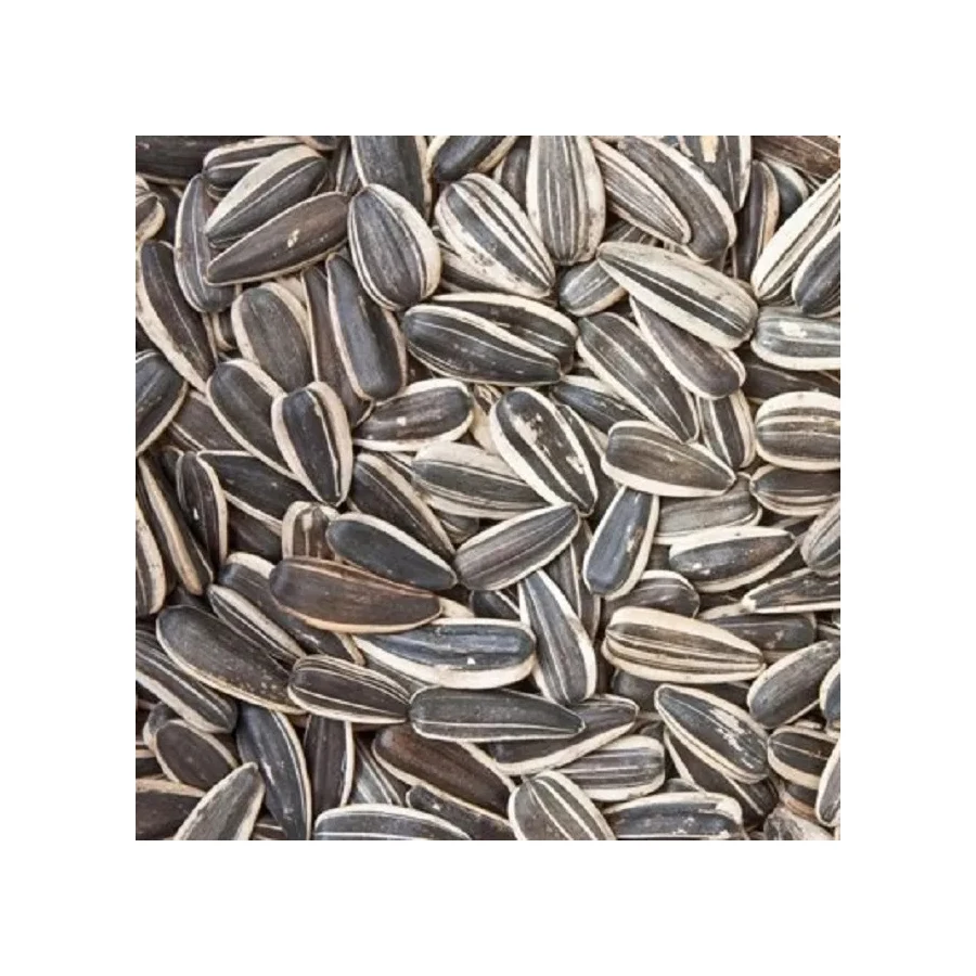 100% Fresh Sunflower Seed for sale in good price