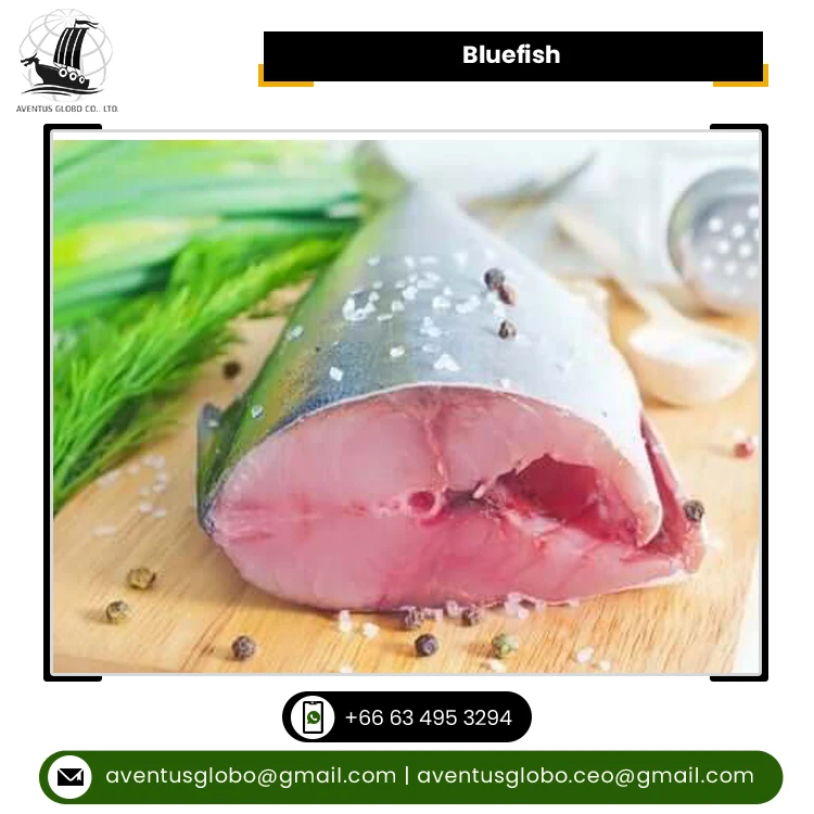 Best Exporter Supply Highest Quality Cook & Eat Cold Storage Bluefish Seafood at Best Market Price