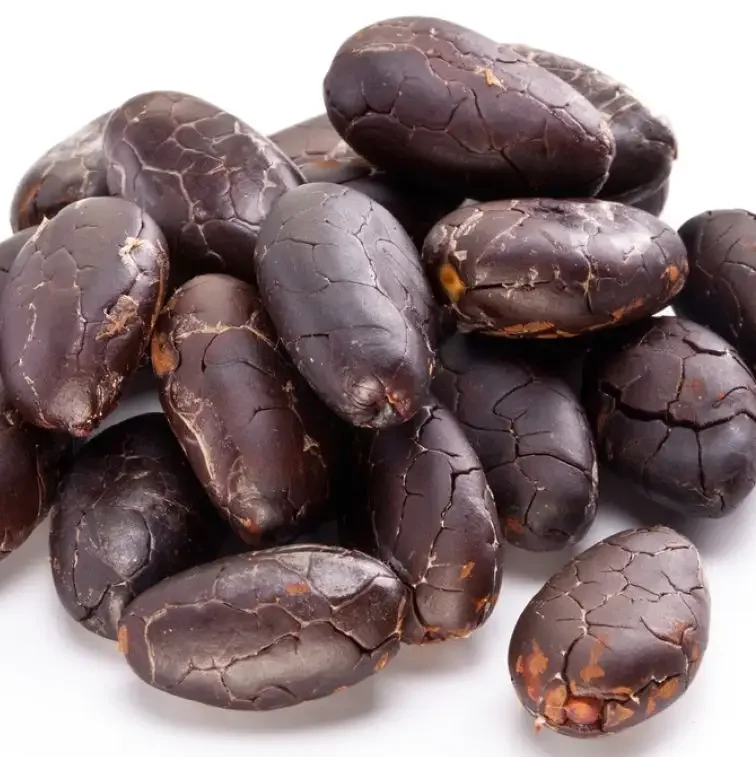 High Quality clean cheap  Cocoa Beans - Cacao Beans - Chocolate beans