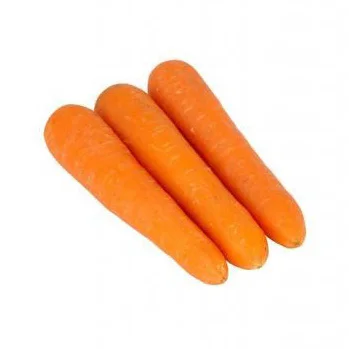 Excellent and Super Fresh Carrot  Fresh Vegetables Common Cultivation Export quality orange Natural sweet Fresh Carrot