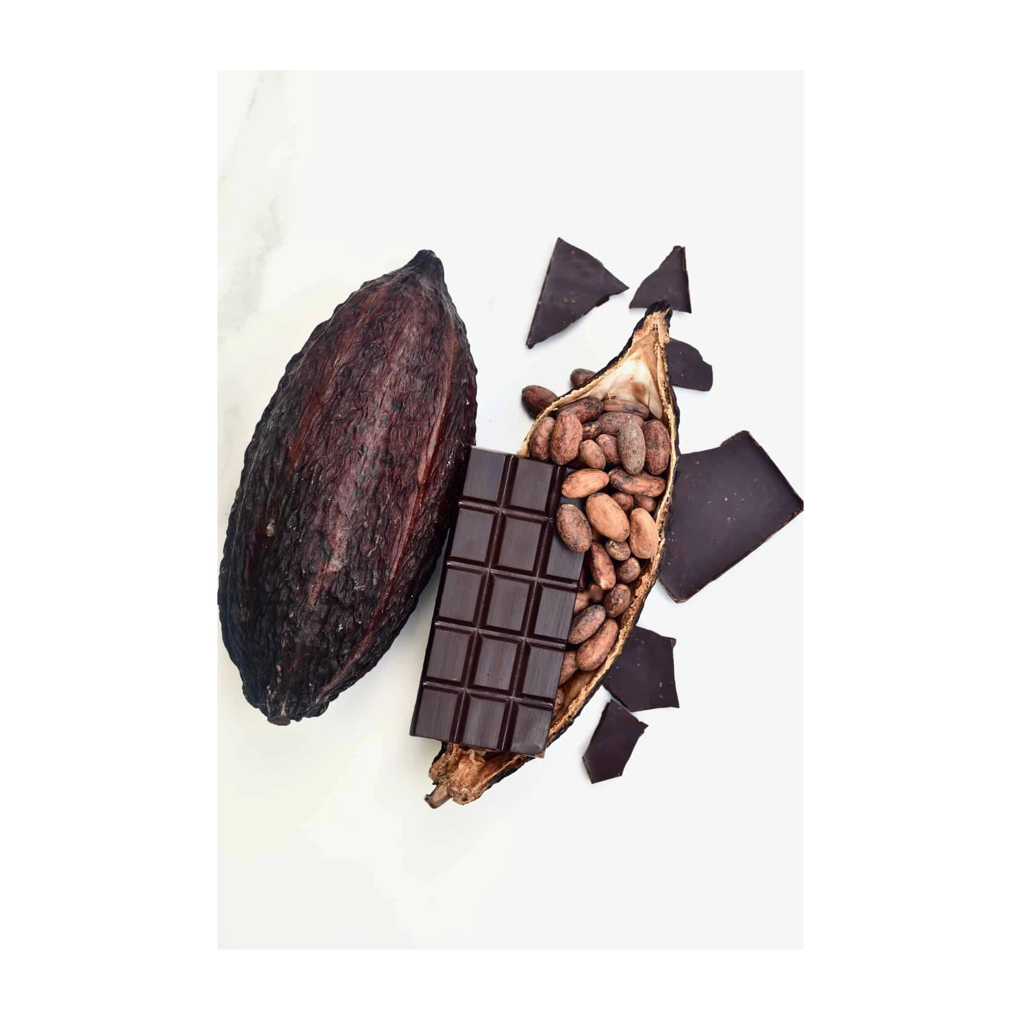 Wholesale Top Quality Cocoa Bean In Cheap Price
