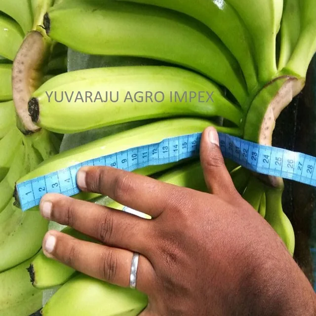 Naturally fresh High quality  Cavendish Banana Exporters / Traders from India  to Karaj Fiji Kuwait Yazd Malawi Tokyo