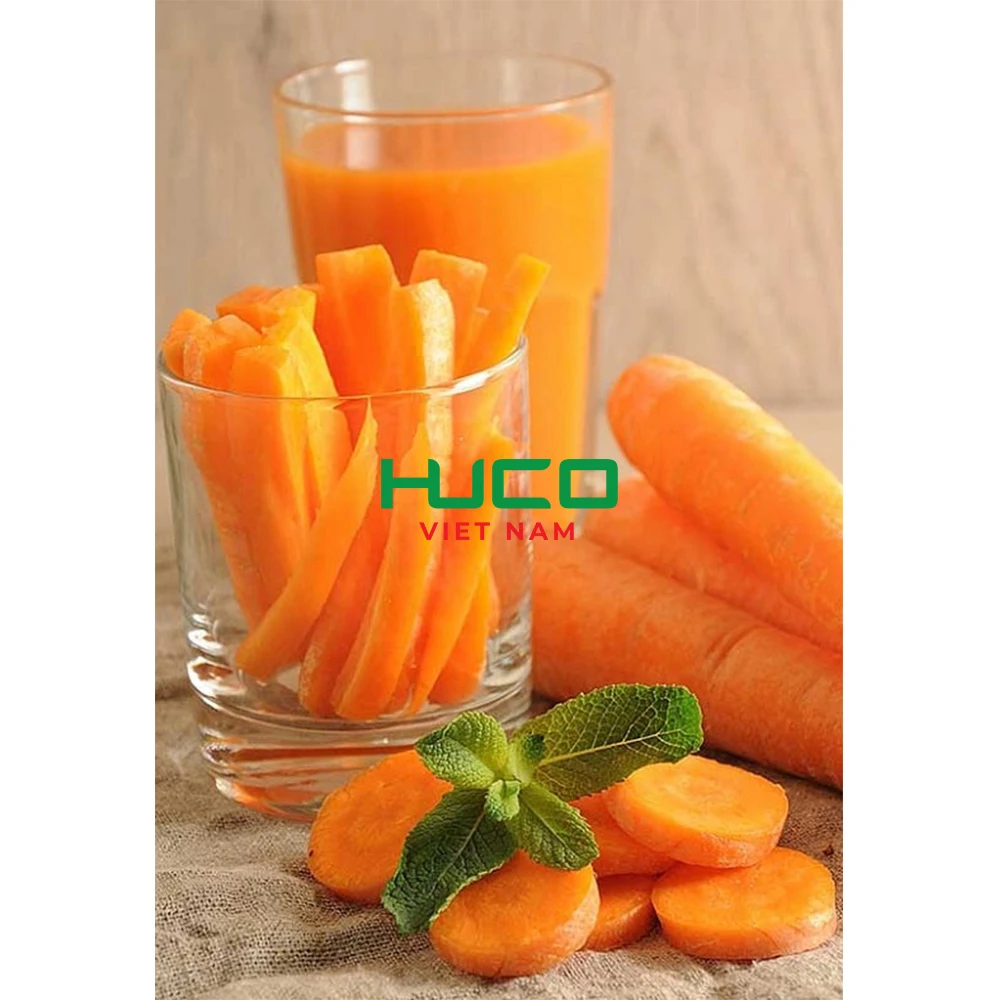 Selected quality fresh carrot 100-250 gram Vietnam factory export for export in bulk