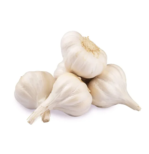 Wholesale Newest Crop Sumatra Red Onions Fresh and Original from Indonesia Premium Quality Onion Suppliers