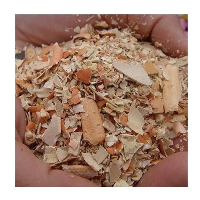 Wholesale Dried Crab Shell, Various Sizes