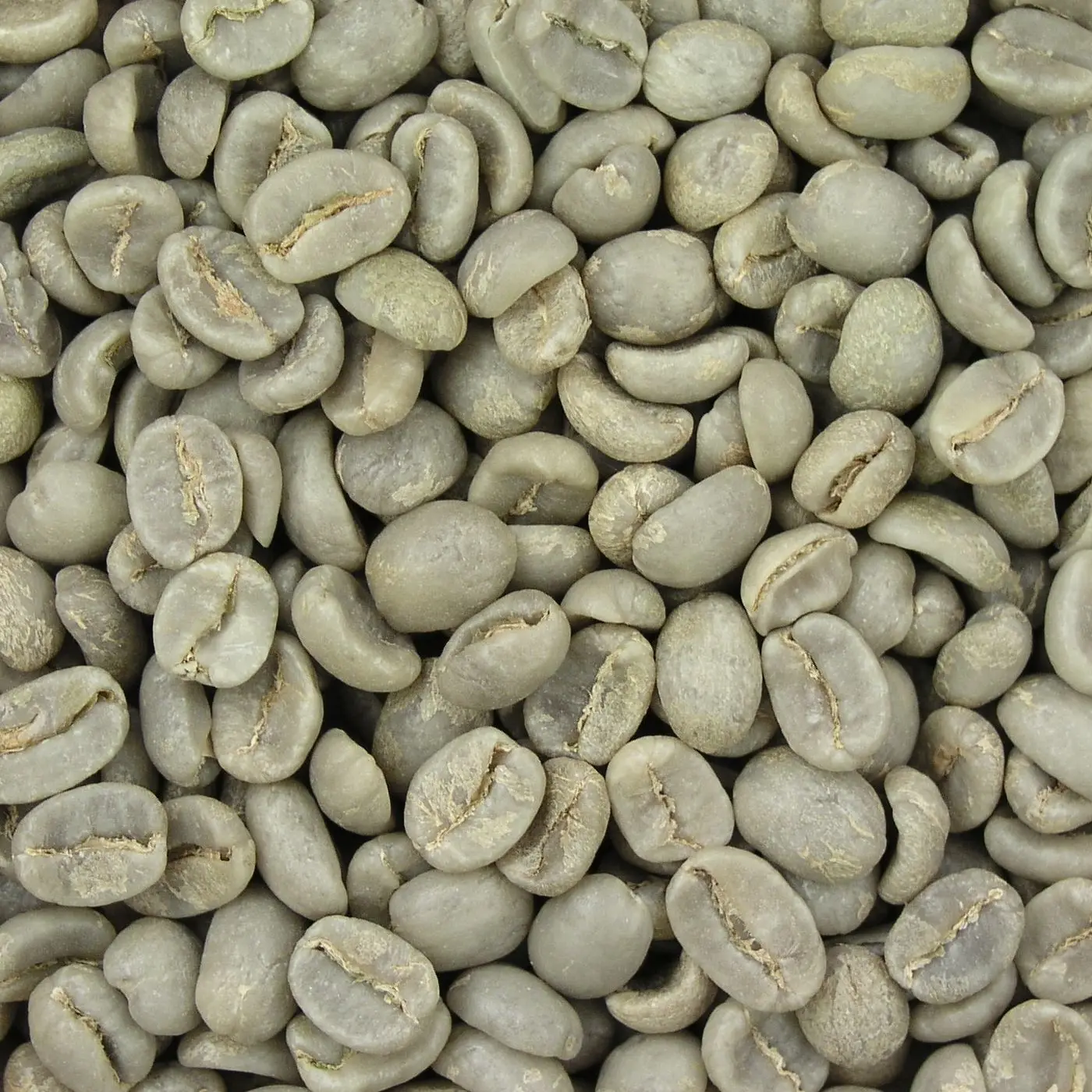 Coffee Beans1