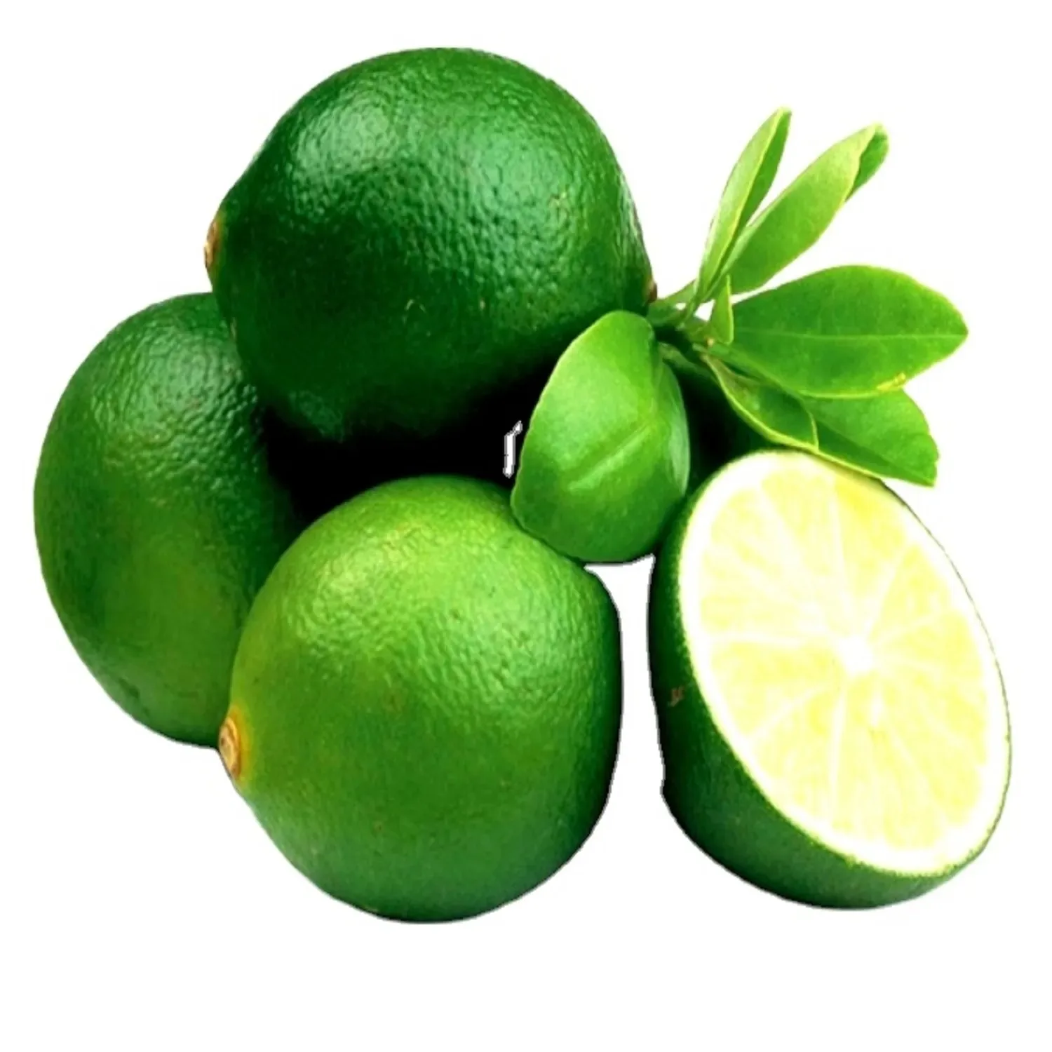 Seedless Fresh Lemon from Vietnam seedless lime