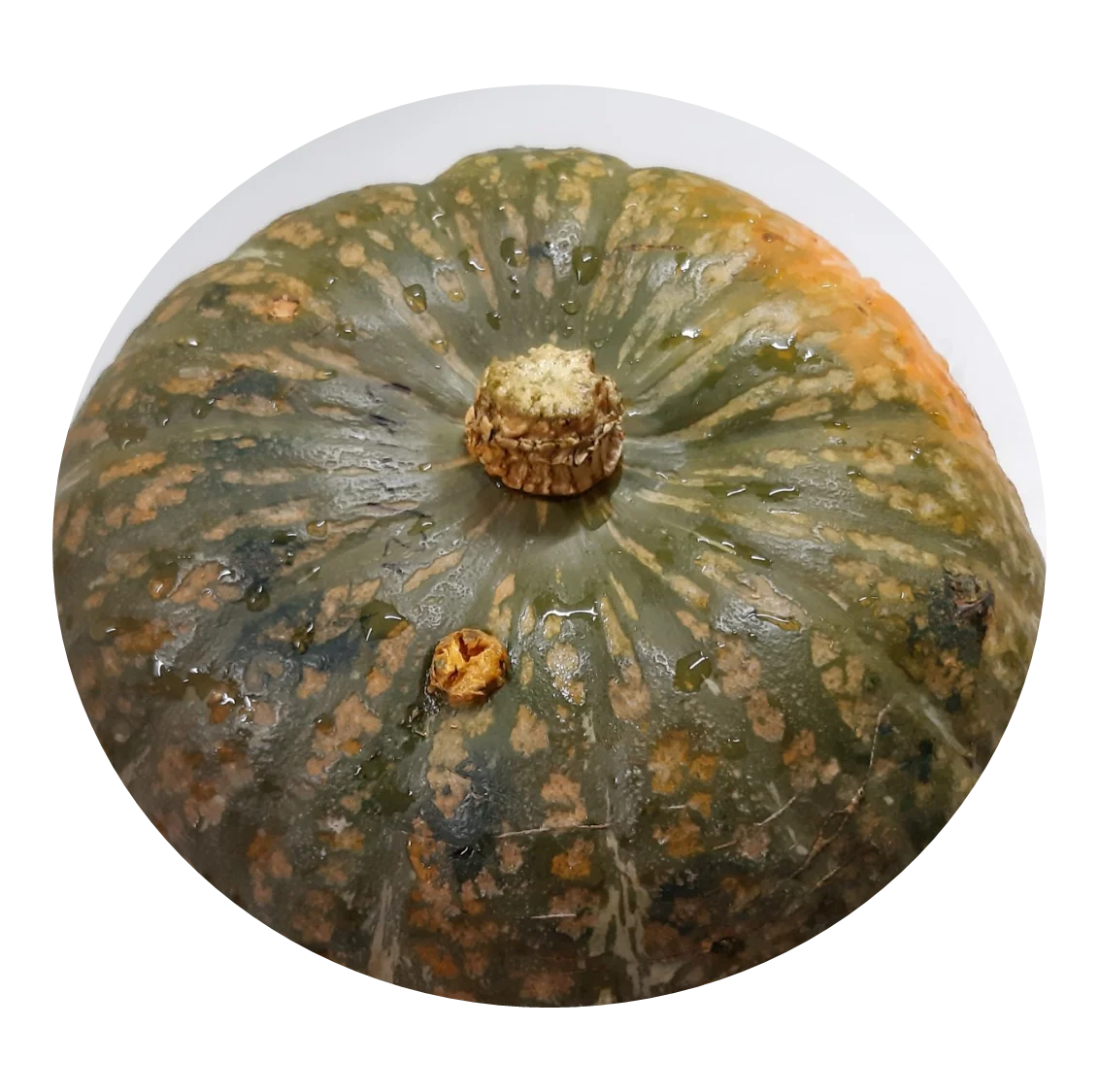 High Quality Made In Vietnam 100% Natural FRESH TROPICAL PUMPKIN from HTK FOOD for Food & Beverage