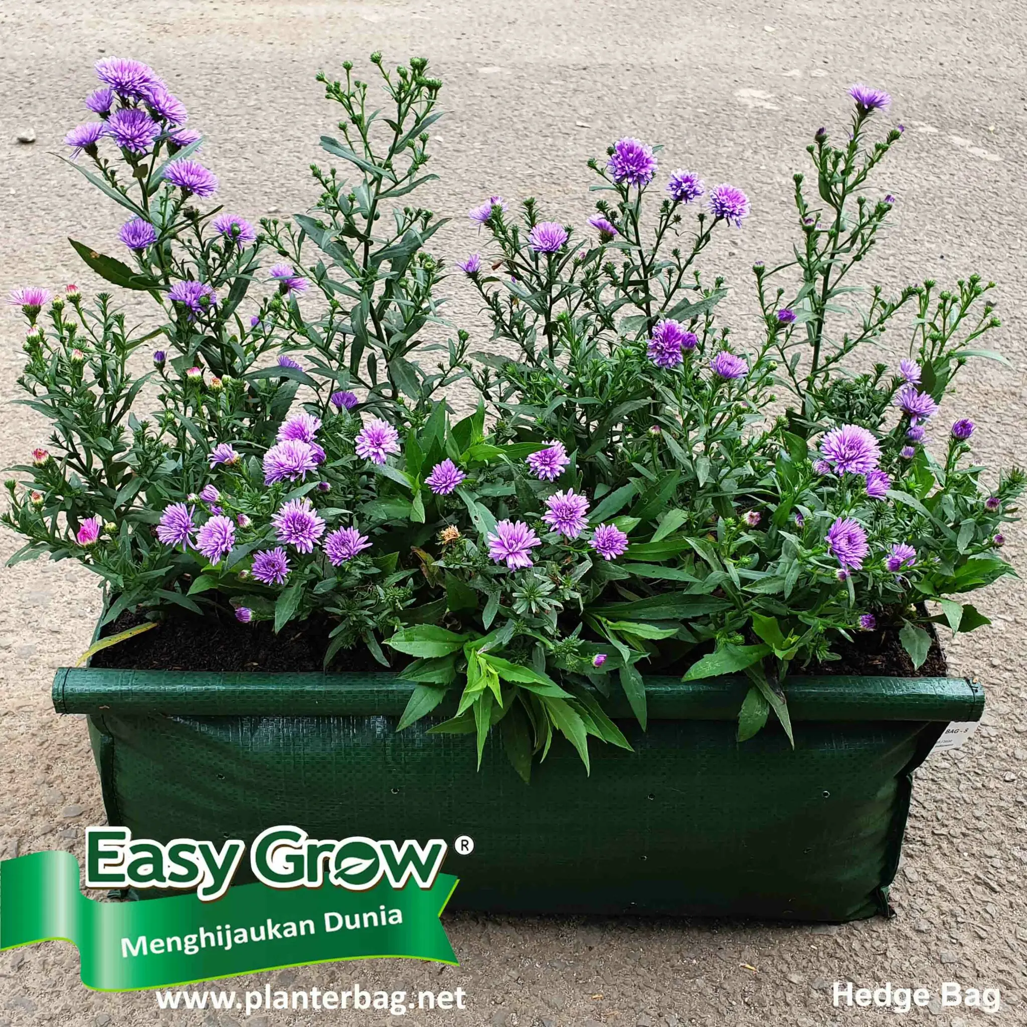 Planter Bag Easy Grow with Handles Plastic UV Protection 11 15 18 20 25 30 35 45Liter All Size Green Black White Customized Logo