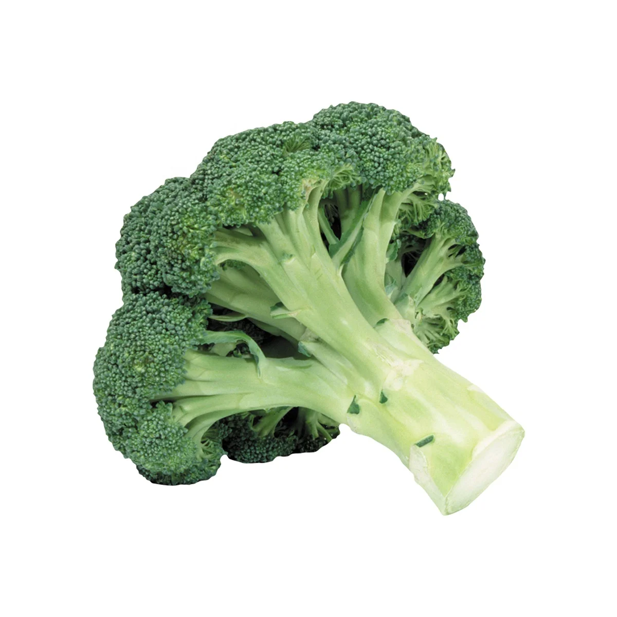 High grade fresh vegetables 7 kg in plastic or carton box natural fruits from Uzbekistan Fresh broccoli for food