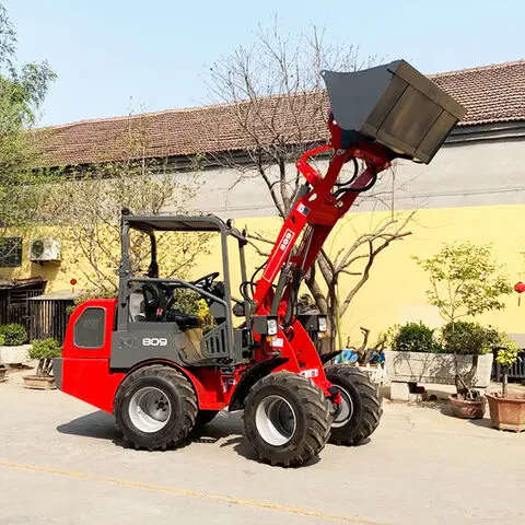 Crawler Mobile Dumper Truck Small Mountain Climbing Transport Dumper for Sale