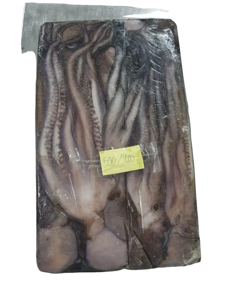 Замороженный длинный осьминог, цельный круглый, хорошего качества, индонезийского происхождения