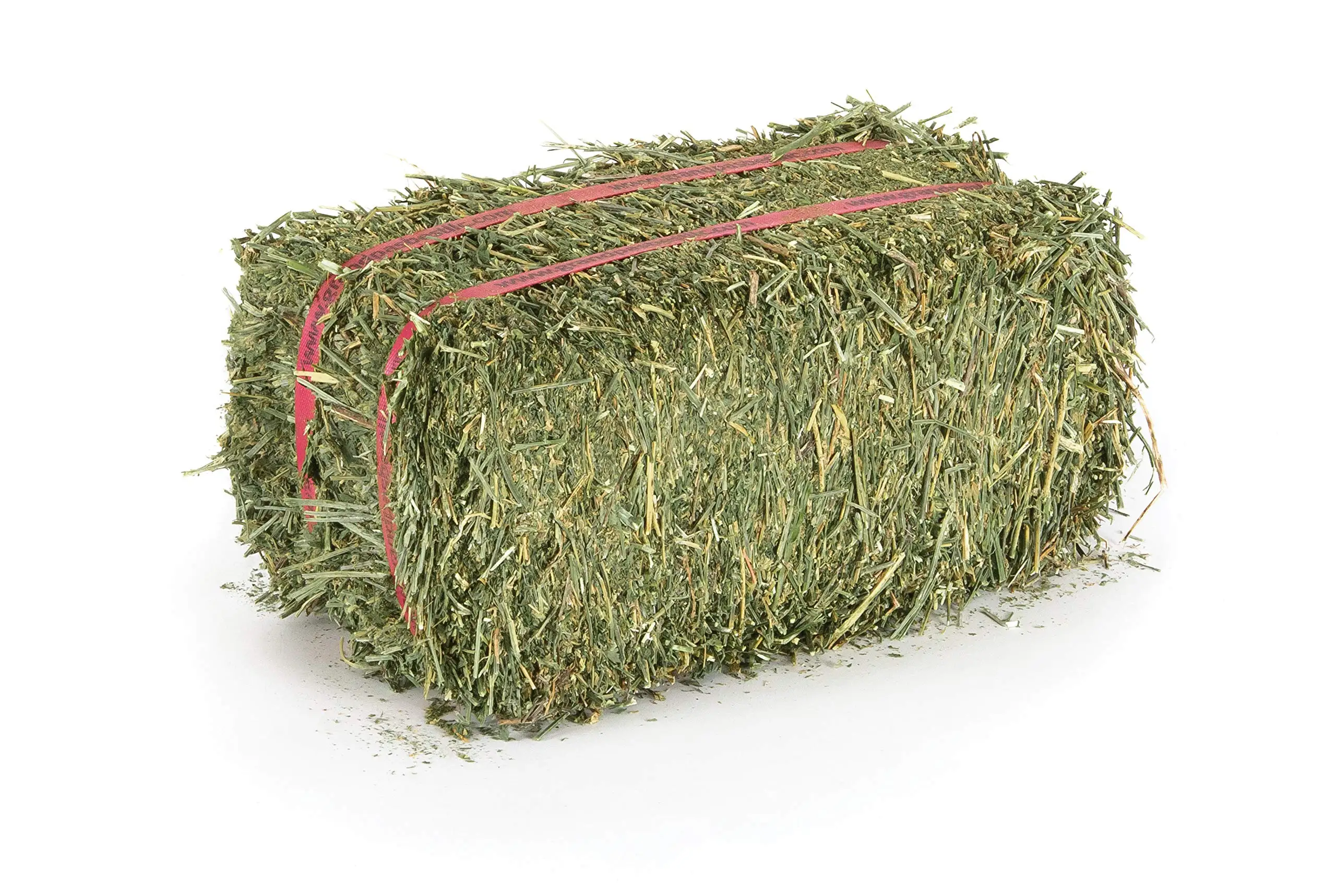 Alfalfa hay.jpg