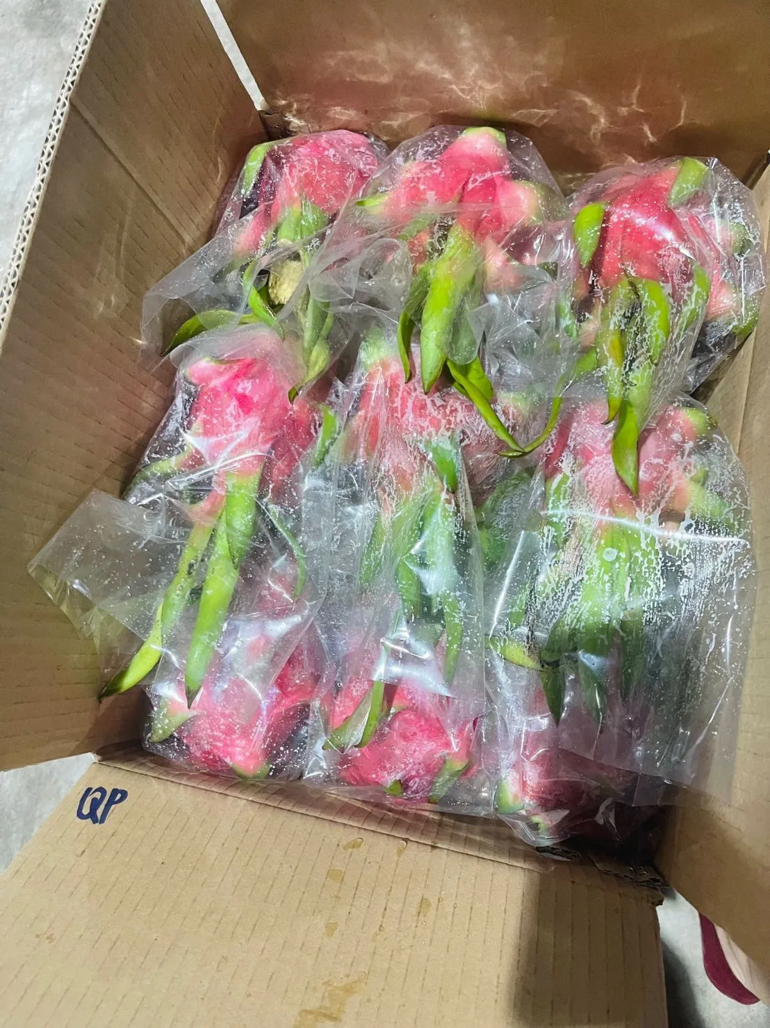 Производитель дракона фруктов-фрукты дракона высшего качества