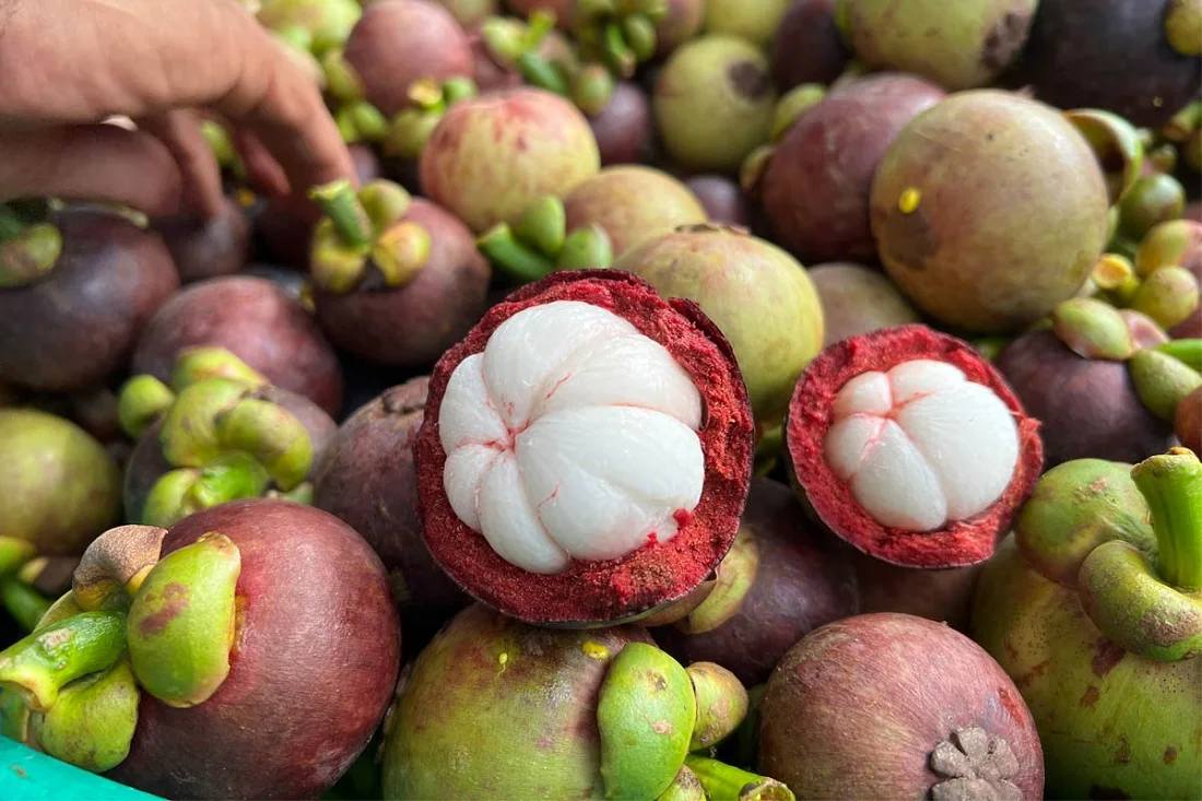 Best Seller Fresh Mangosteen Thai Tropical Fruit High Quality Premium Grade Export Product Wholesale Original From Thailand