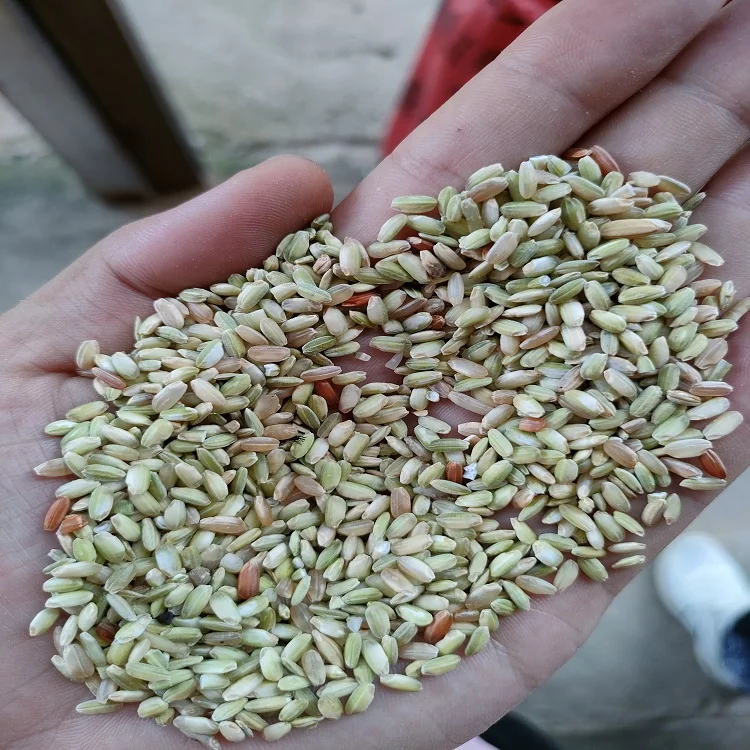 2022  LongBow Mini1  Industrial rice color sorter selector machine for rice milles