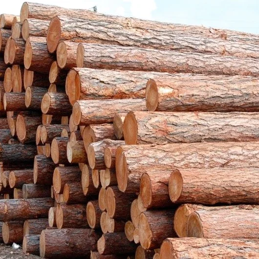 Hardwood Timber Wood Logs Cheapest Price From Factory