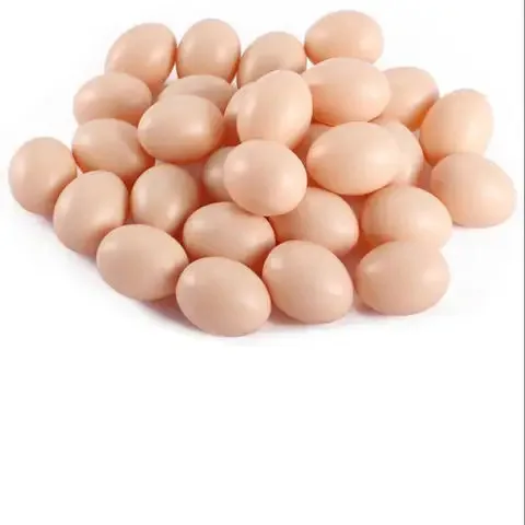 Broiler hatching eggs Ross 308 and Cobb 500 and Chicken Table Eggs fresh