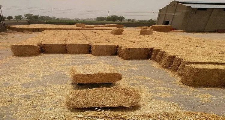 Highest Quality Chopped Pakistani Round Bales Wheat Straw Poultry Animal Feed Wheat Straw Feed Animal Feed Production
