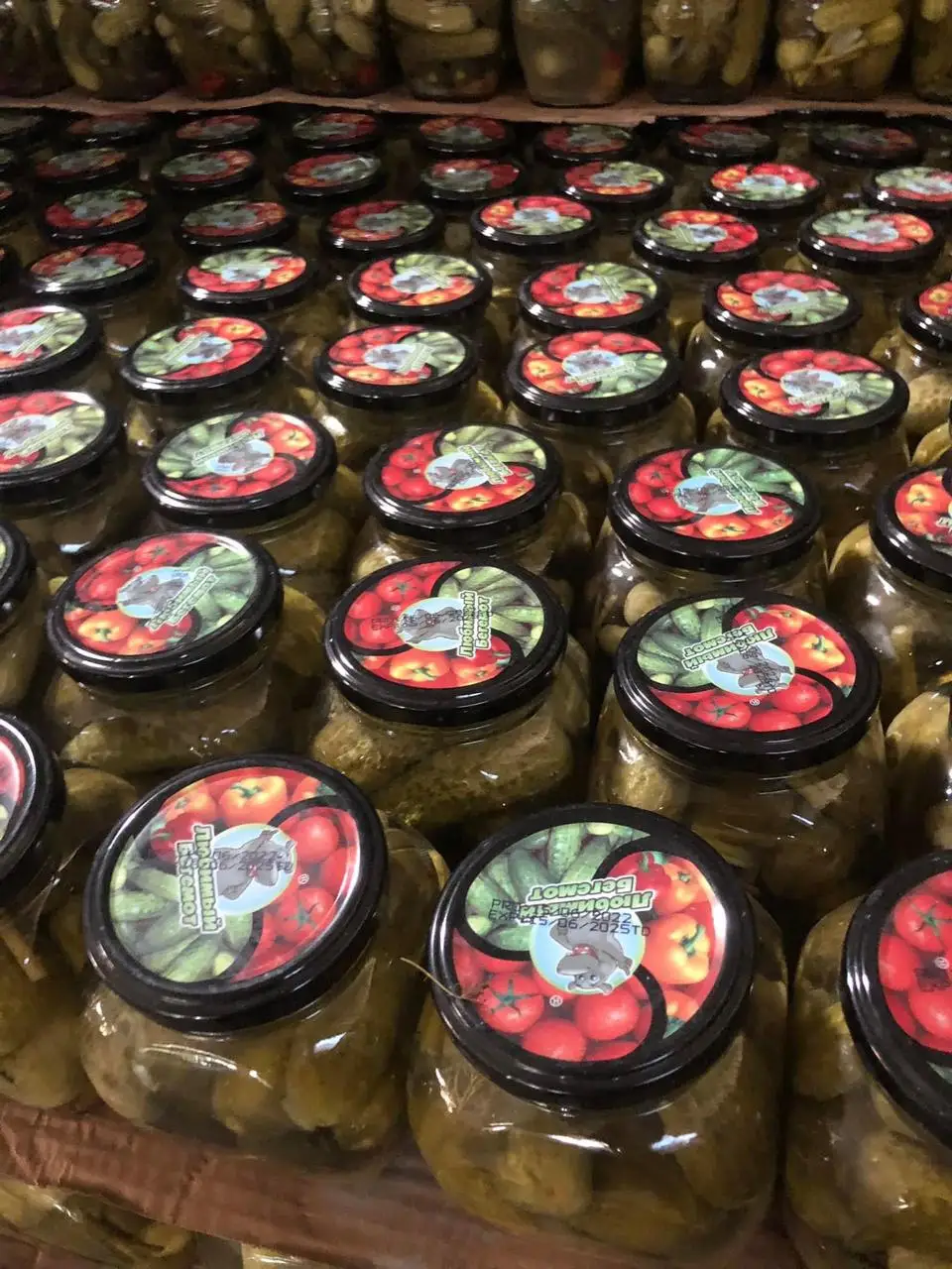 BEST SELLER PICKLED GHERKINS - HOT SALES CANNED PICKLED CUCUMBER