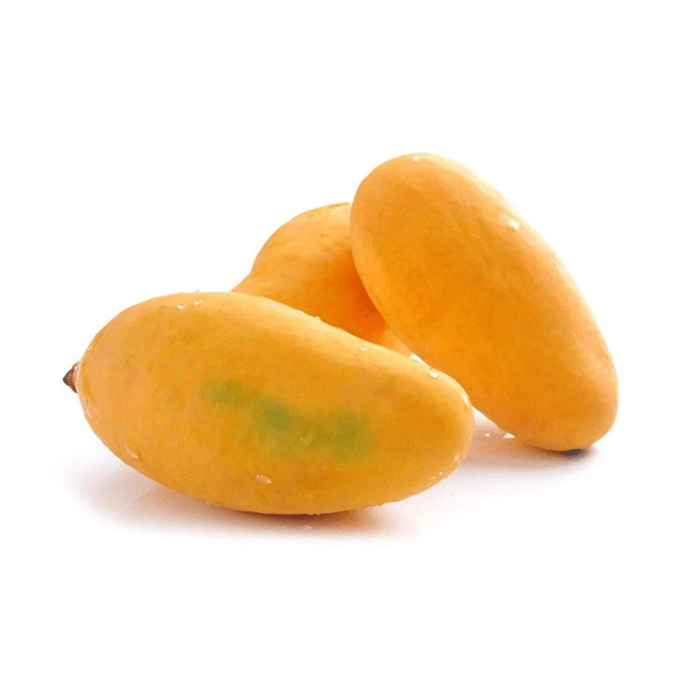Top selling Pakistani Fresh Sindhari Mangoes at Cheap Price