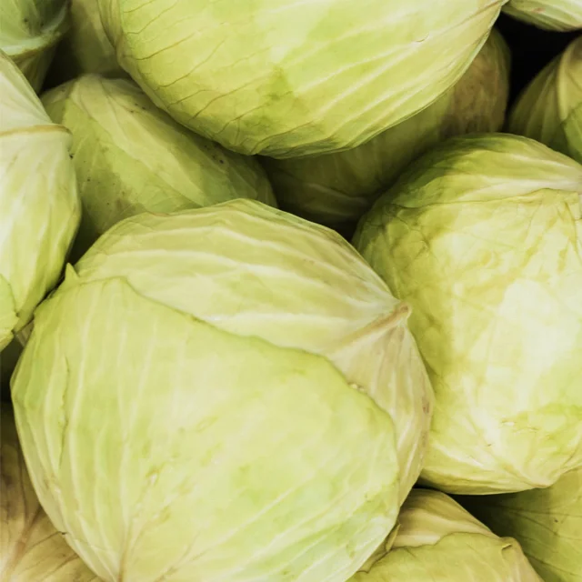 Best Quality Fresh Cabage Vegetable for Export from India
