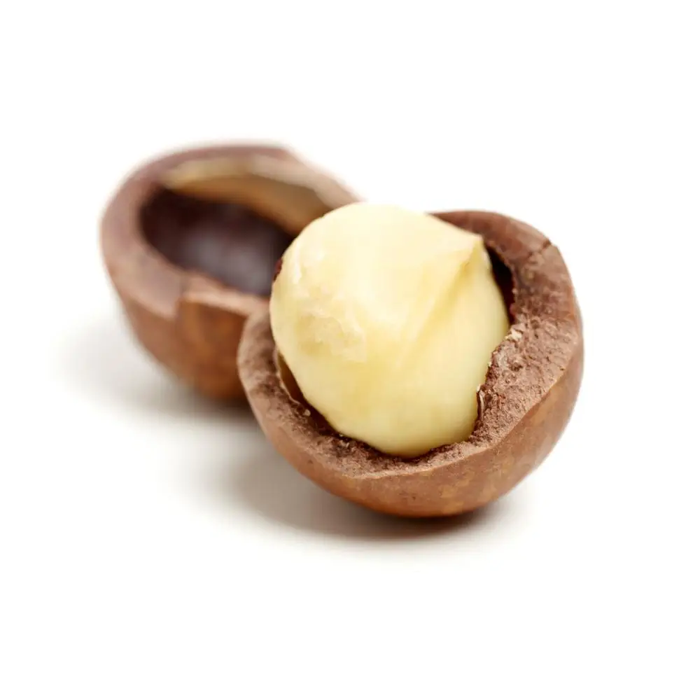 high quality macadamia nuts, macadamia nuts made in Brazil factory