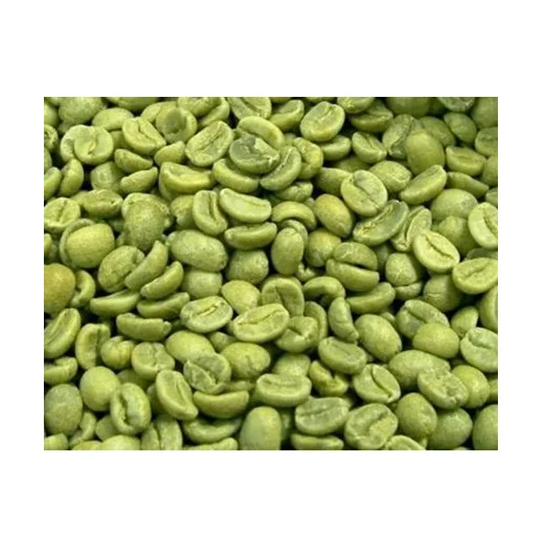 100% Top Quality Roasted Robusta Coffee Bean Best Roasted Coffee Beans for Drinking