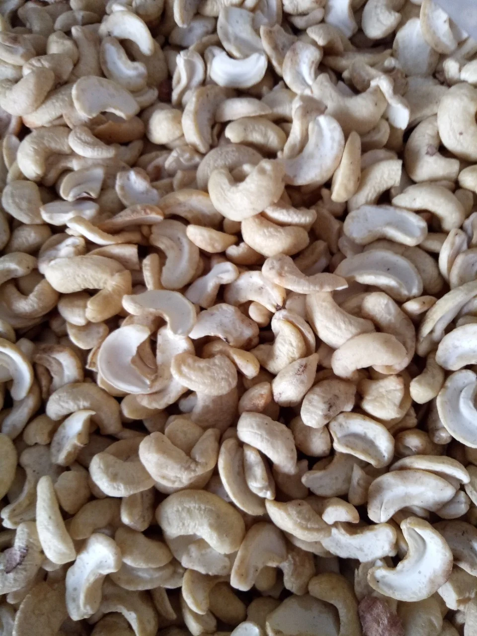 TOP QUALITY CASHEW NUT KERNEL  BB/SP/WS/LP/W320/W240 ORIGIN VIETNAM/ Ms Jolie whatsapp : +84902679738