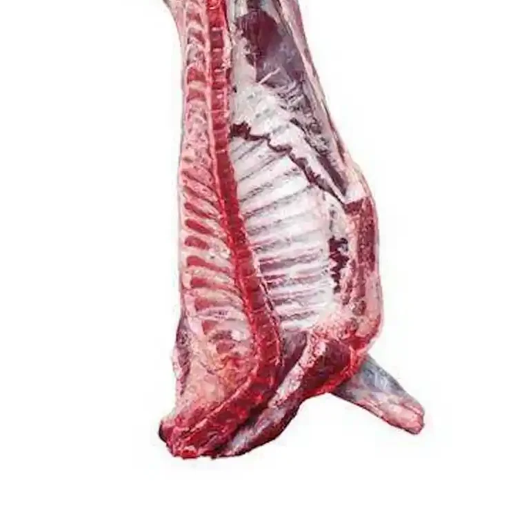 Wholesale Manufacturer and Supplier of Frozen Pork Whole Carcass Meat Best Quality Best Factory Price Bulk Buy Online