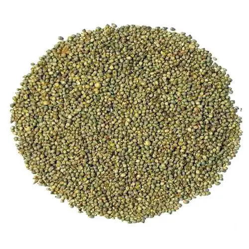 Super quality Green millet for animal feed ready from India for export