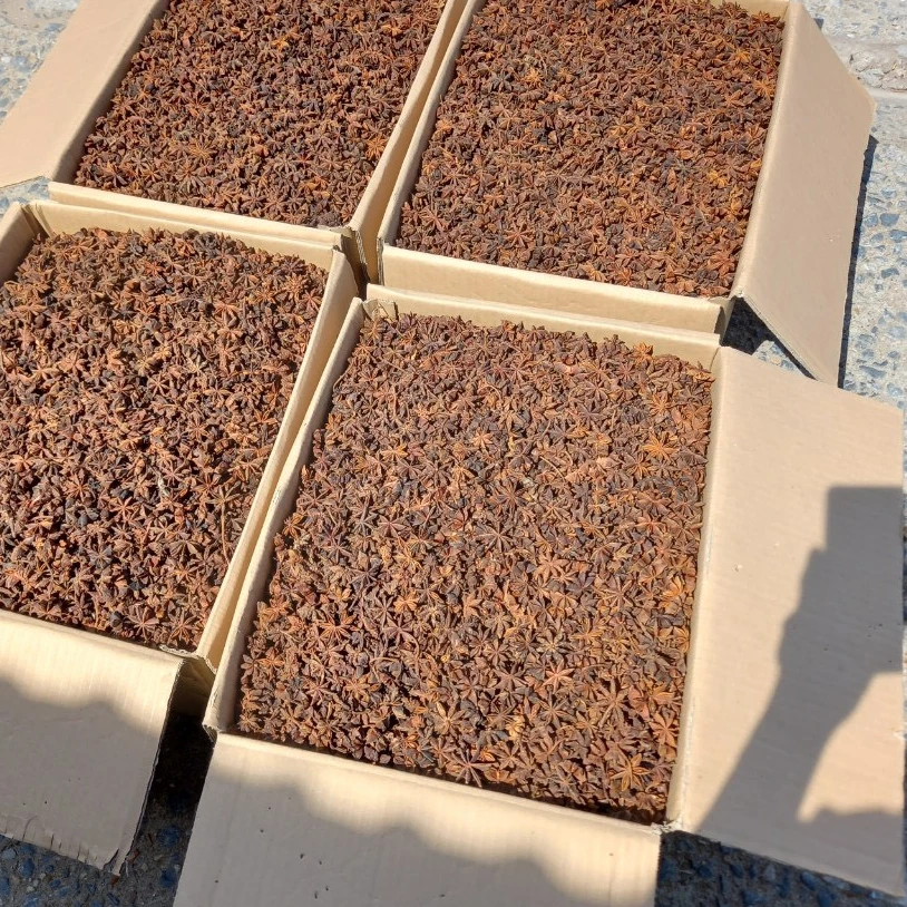Star Aniseed from MKPRO Vietnam cheap price Spices high quality