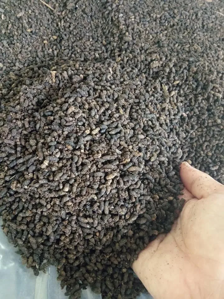 Bat Guano For Fertilizer High Quality 0084816719979