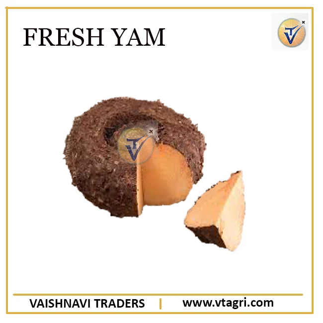 Round Elephant Foot Yam Exporter - Fresh Yam from India - Top Grade Elephant foot yam