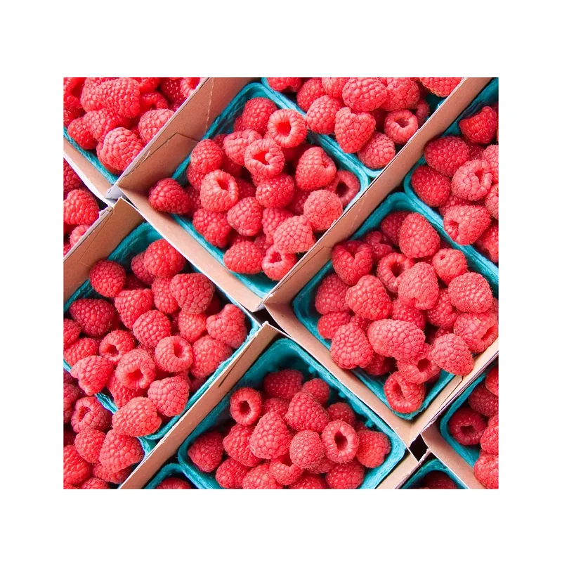 Frozen Raspberries I fresh Raspberries I Raspberries organic