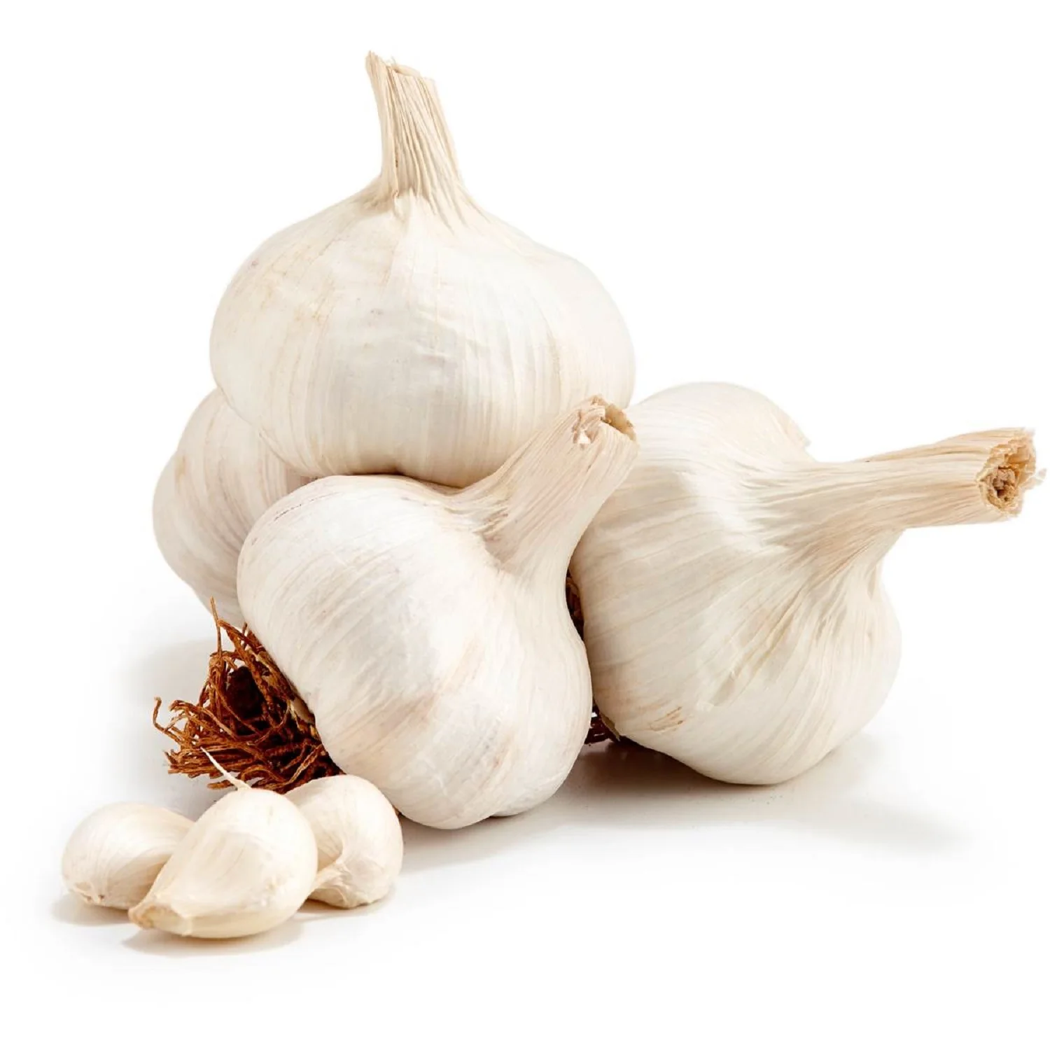 Fresh garlic price 10kg Box Packing Fresh garlic new Crop Garlic