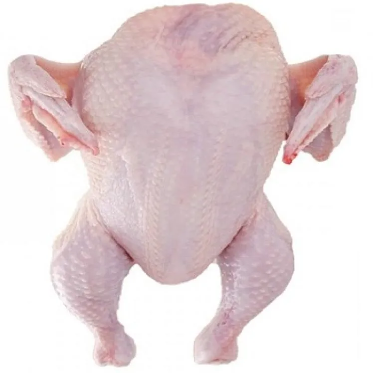 Best Quality Healthy and Natural Whole Chicken Halal Frozen From Turkey Poultry Meat with Customize Pack