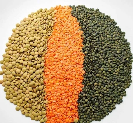 Factory Price Red Green And Yellow Lentils