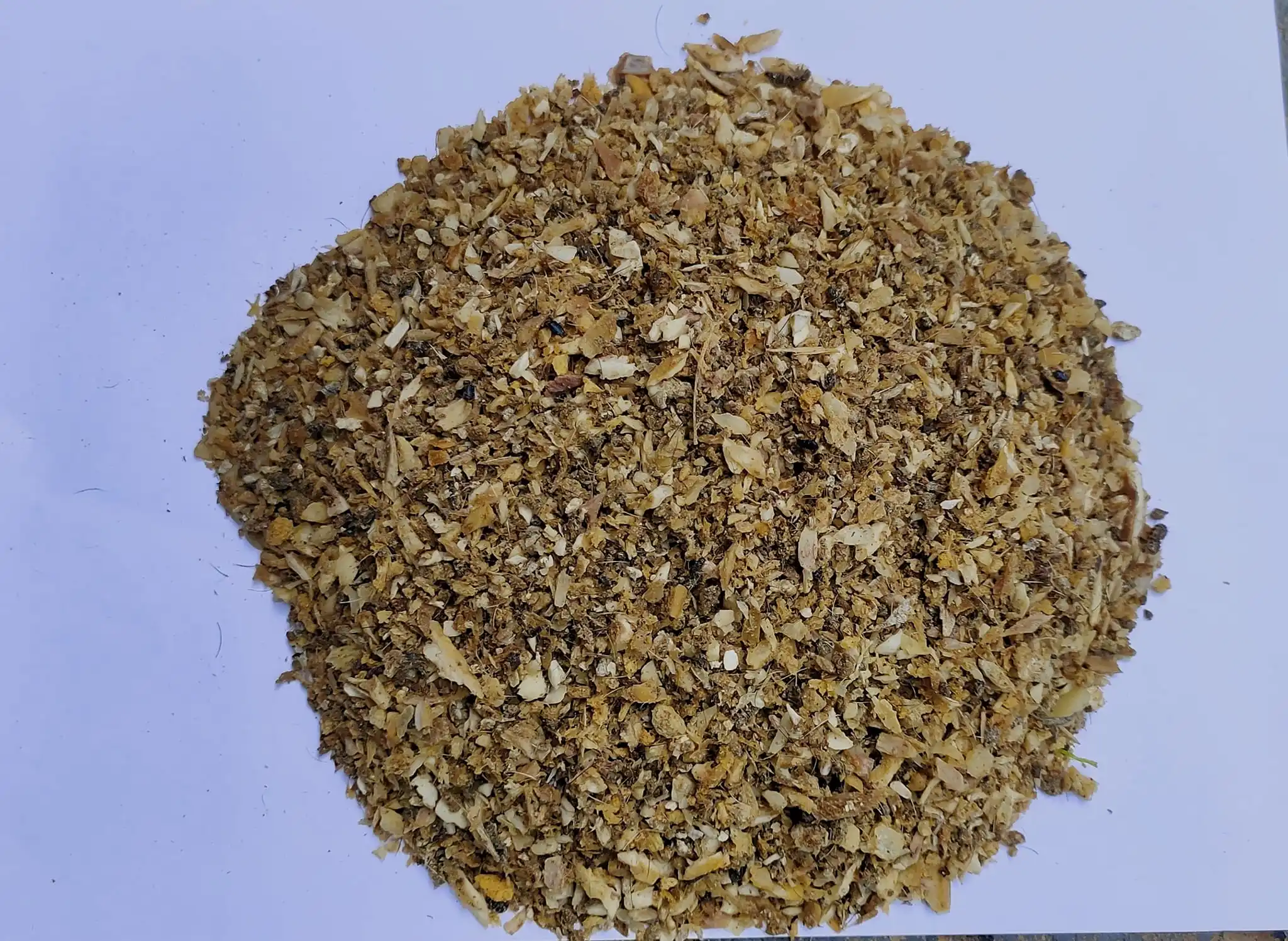 Indian Cotton Seed Meal Variety Palm Fish Animal Feed for Horse Hay Meat Bone Meal Packed in Bag Also Used for Artemia Cysts