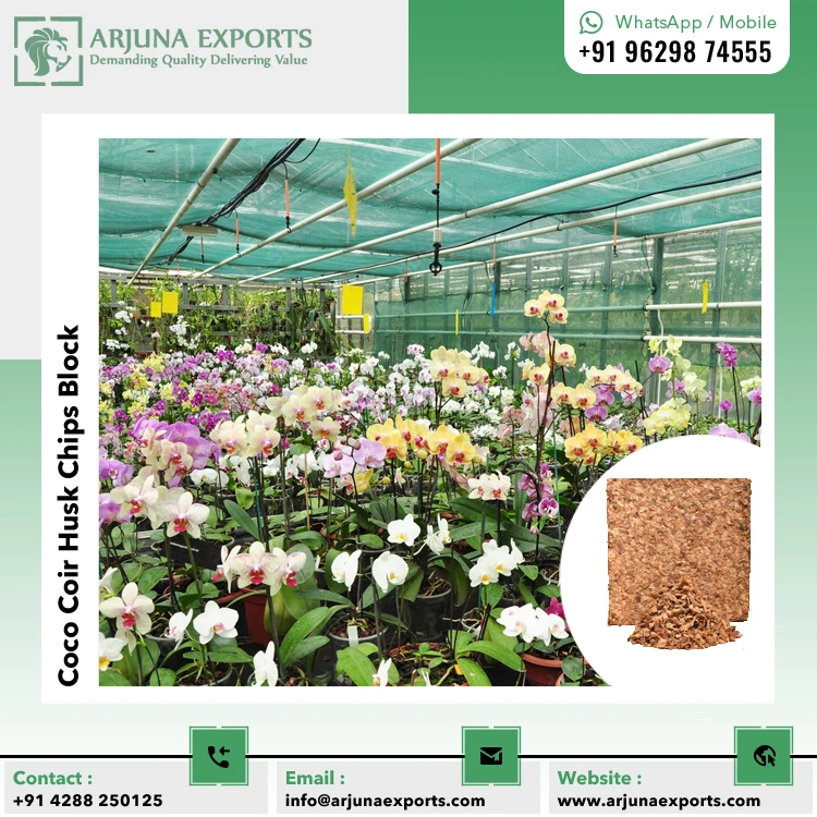 Washed Medium Coconut Coco Peat Coco Coir Husk Chips 5kg Blocks for Horticulture and Floriculture in Slovenia